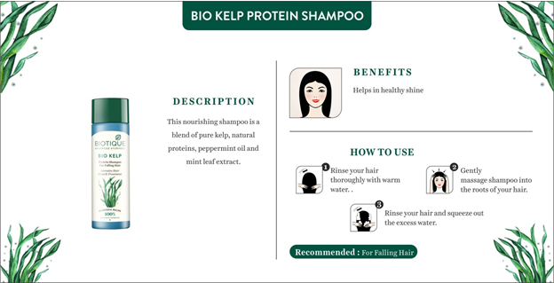 bio-kelp-shampoo